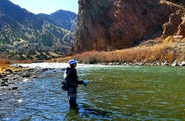 Fly Fishing the Arkansas River