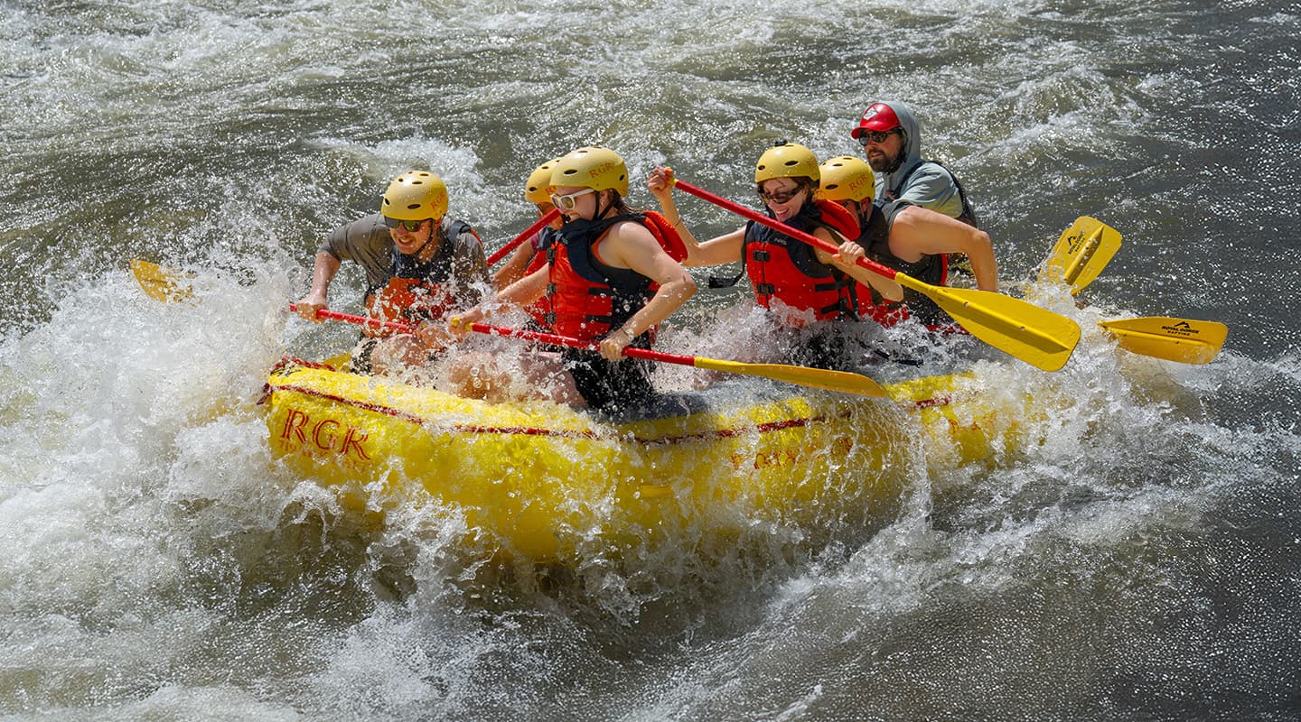 Spring in the Royal Gorge: Your Complete Visitor Guide (March-May)