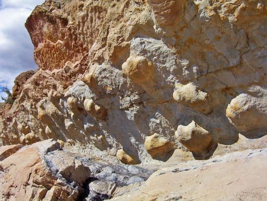Dinosaur Tracks on Skyline Drive