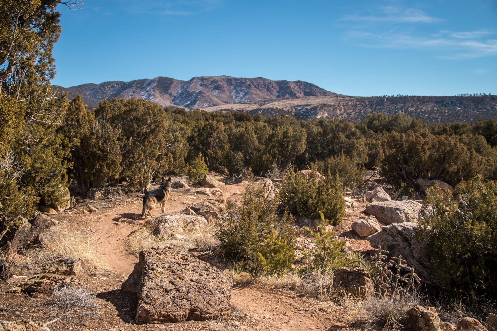 Oil Well Flats Trail System