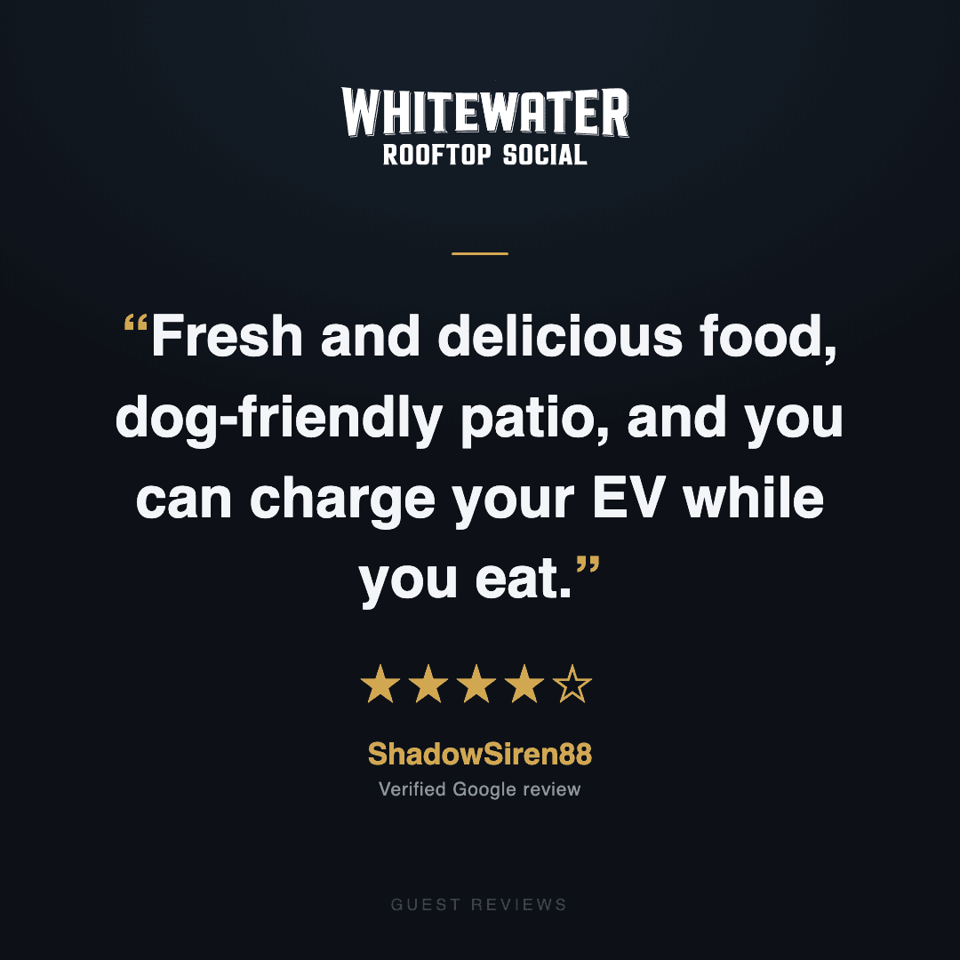 Guest review 12
